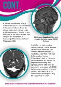 Diagnosing CASK leaflet p2