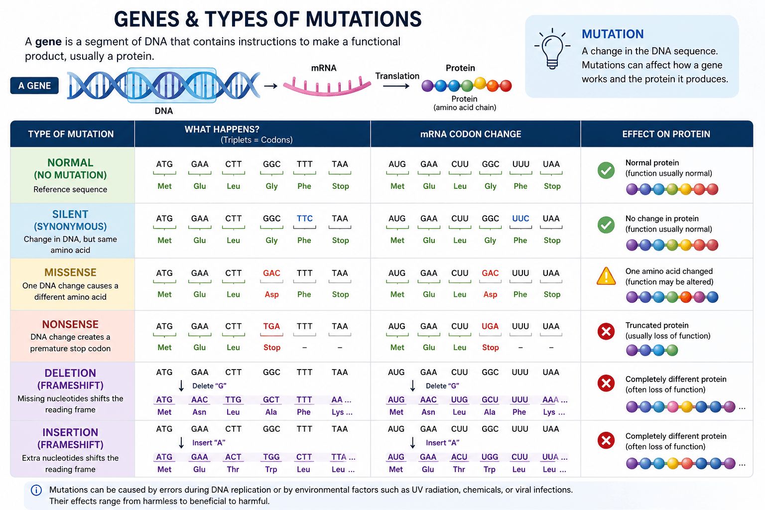 Diagram of CASK gene mutation types: deletion, duplication, missense, nonsense, frameshift, splice site