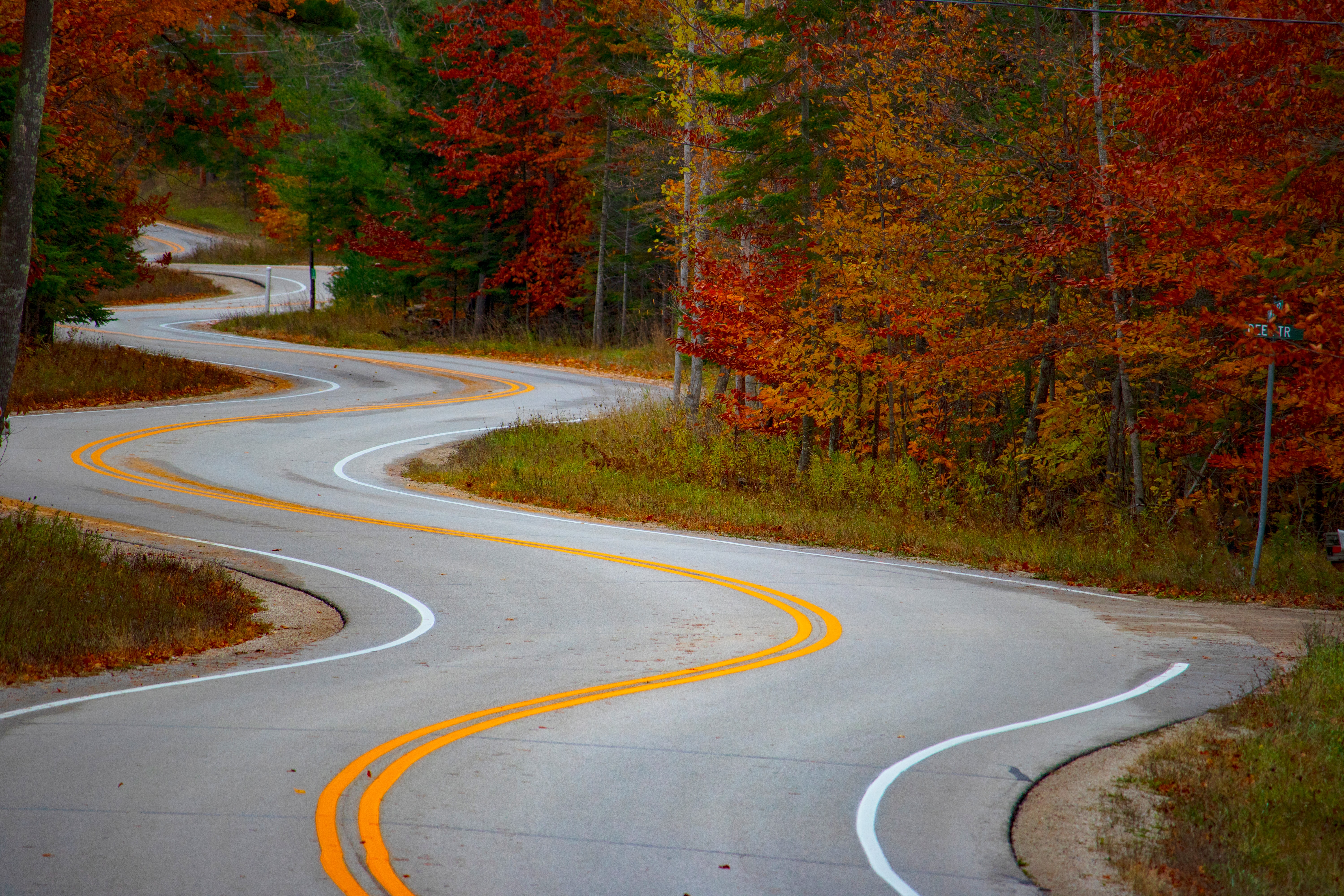 A winding road — the path to treatments